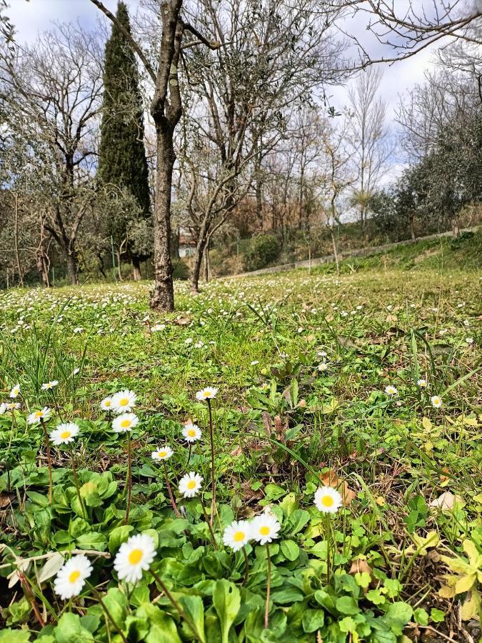 Apartamento Locazione Turistica La Gesualda Castelnuovo Magra Exterior foto