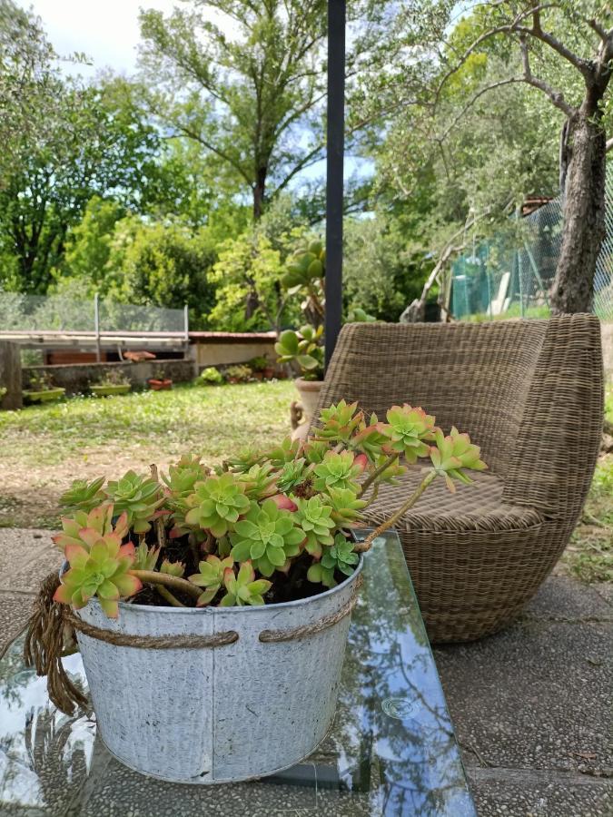 Apartamento Locazione Turistica La Gesualda Castelnuovo Magra Exterior foto