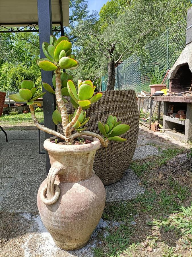 Apartamento Locazione Turistica La Gesualda Castelnuovo Magra Exterior foto